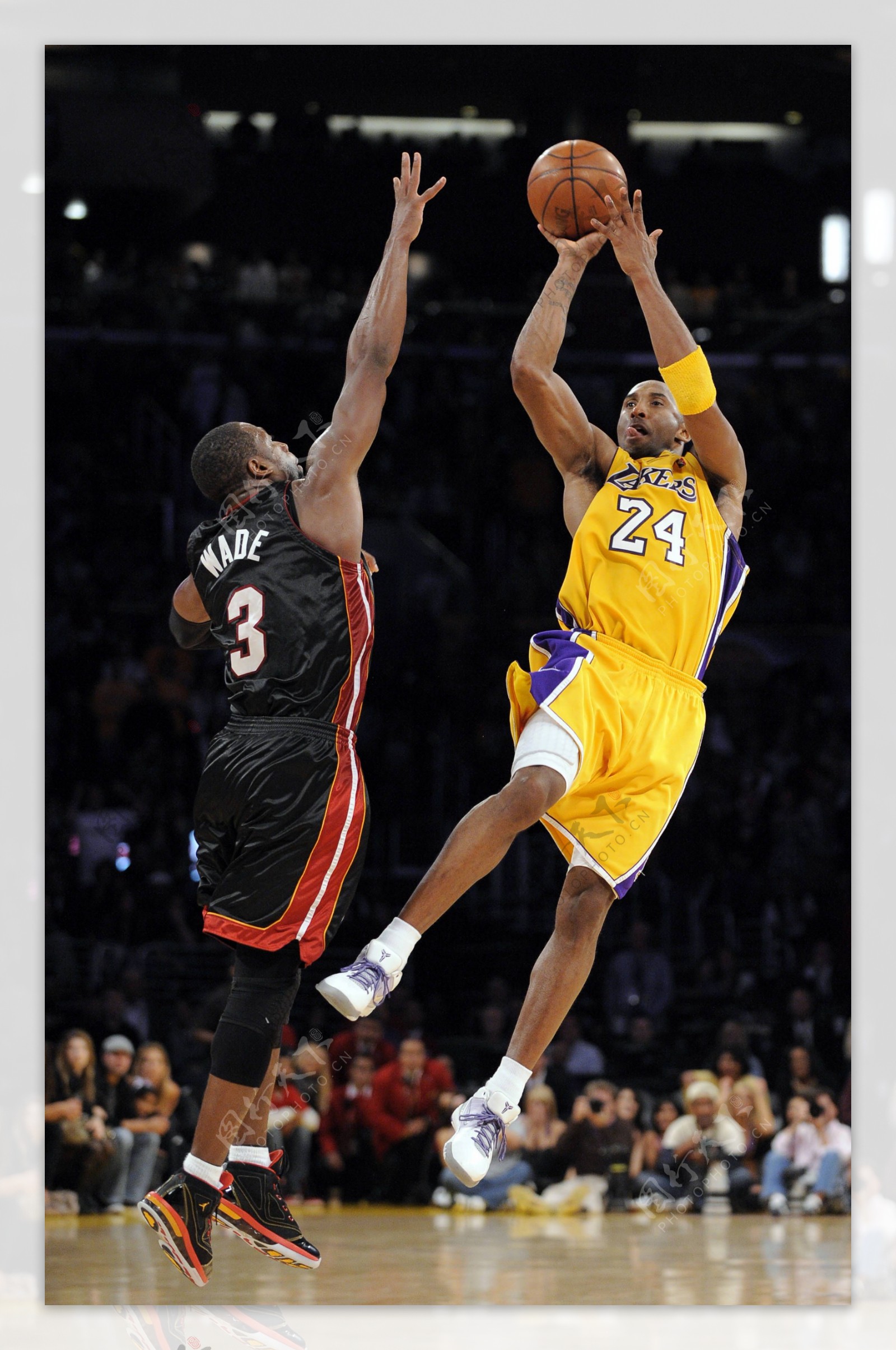 执教就像拼图——专访中国游泳队教练迈克尔·波尔